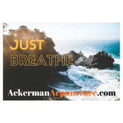 Just-Breathe-ocean-waves-Logo